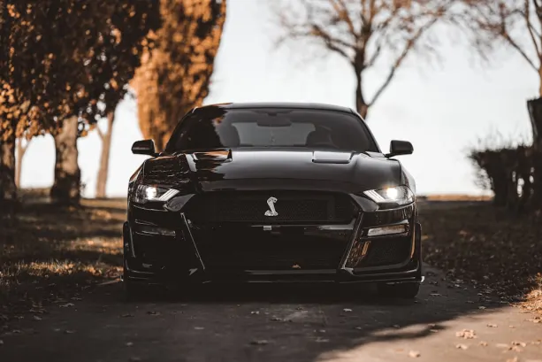 Casino777 Casino App Android/iOS